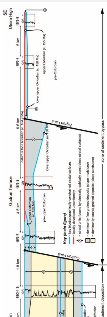 Figs. 5A, 6A, 8). However, if present in the Santos Basin example,