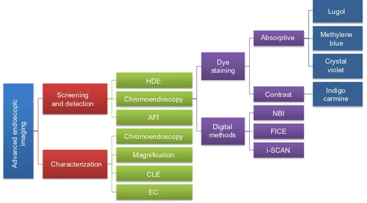 Figure 1 Goal-oriented classification of image-enhancement, magnifying, and microscopic techniques currently available and approved for clinical use.Note: i-Scan is manufactured by Pentax.Abbreviations: AFI, autofluorescence imaging; CLE, confocal laser endomicroscopy; EC, endocytoscopy; FICE, Fuji intelligent chromoendoscopy; HDE, high-definition endoscopy; NBi, narrow-band imaging.