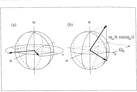 Figure 2.11: The effective torque field for phase modulated driving