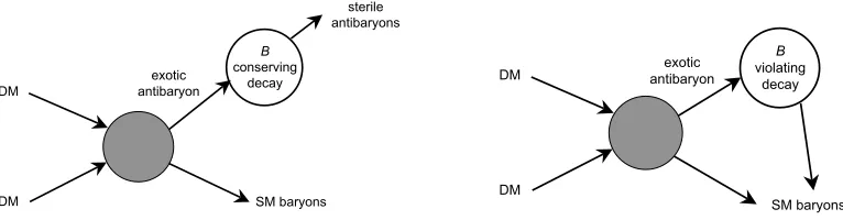 Figure 1: Schematic diagrams showing the evolution of the asymmetry created by dark matter annihilation.(left)number-conserving decays