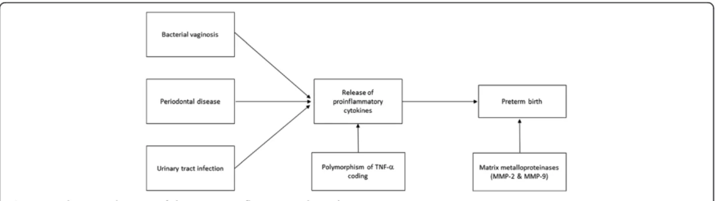 Figure 2 Schematic diagram of the immunoinflammatory hypothesis.