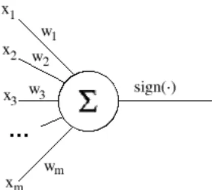 Figure 1: Perceptron as a neuron