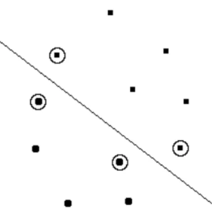Figure 3: Maximal margin separating hyperplane. Circles mark the support vectors.