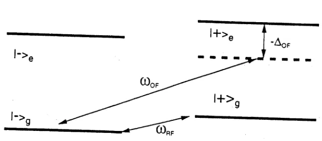 Fig. 1. Atomic state scheme for the J  = l / 2 t o J  =  1/2 system proposed in ref. [52]