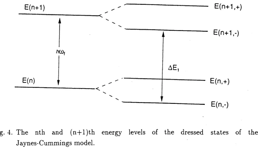 Fig. 4. The 