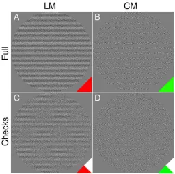 Figure 1. Examples of 16-cycle single-component stimuli forExperiment 1. A and B are CM and LM noise gratings with a fullenvelope