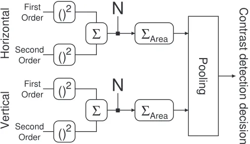 Figure 5. Area summation model for combining co-orientedsignals across first- and second-order mechanisms and acrossbefore the area summation stage