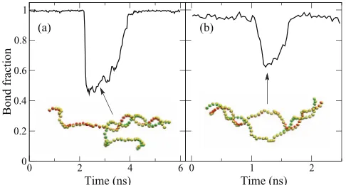 FIG. 13. A 50-bp poly-AT DNA in partially molten states: (a) unzippingfrom one end, and (b) formation of a bubble