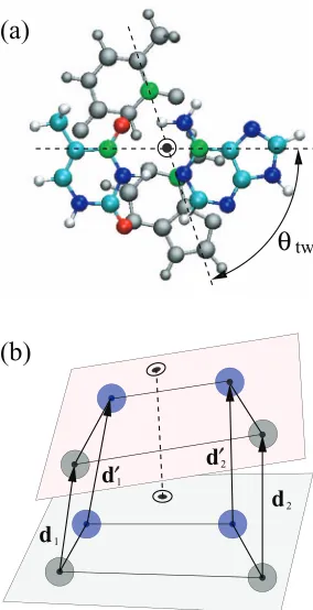 FIG. 4. Schematic showing two stacked base-pairs in (a) the atomic structurecalculation (top view), and (b) the coarse-grained model (side view)