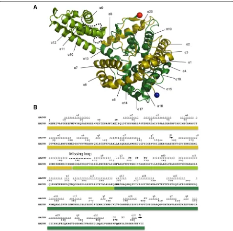 Fig. 4 The crystal structure of the HAZV N monomer and alignment of the sequence of HAZV N with the secondary structural elements.domain, and helixthe position of the secondary structural elements in (green) is linked to C-terminus of the globular domain b