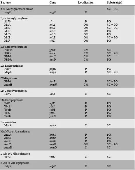 Table 1.2. Peptidoglycan hydrolases in E. coli.a