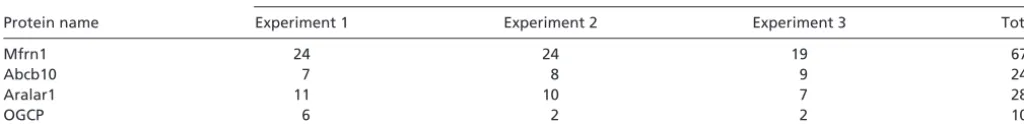 Table S1. Abcb10 was identiﬁed as an interacting protein of Mfrn1 by afﬁnity puriﬁcation and MS