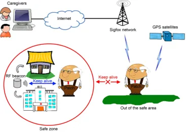 Figure 1. Patch SACHA principle.                                                                        