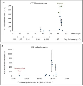 Figure 8. ATP bioluminescence signal measured in relative light units (RLU). (A) The ATP signal as a function of time, (B) correlation between ATP signal and cell numbers determined by qPCR