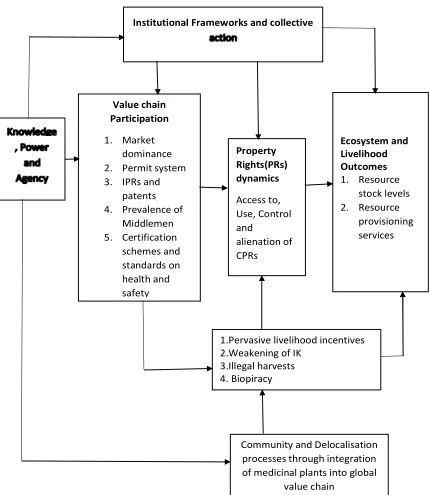 Figure 3: Conceptual framework on integration of medicinal plants into Global value Chain    and ecological outcomes (Authors’, 2018) 