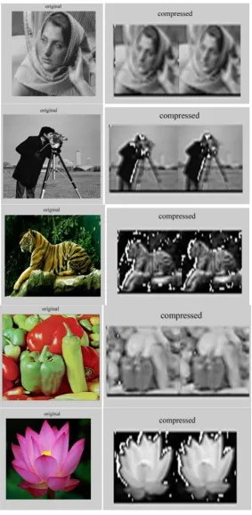 Figure 6. Simulation output for image compression. 