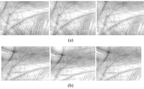 Figure 5. Six palmprint ROI images from the same palm in PolyU I database. (a) Three images captured in the first session; (b) In the second session next three image is captured