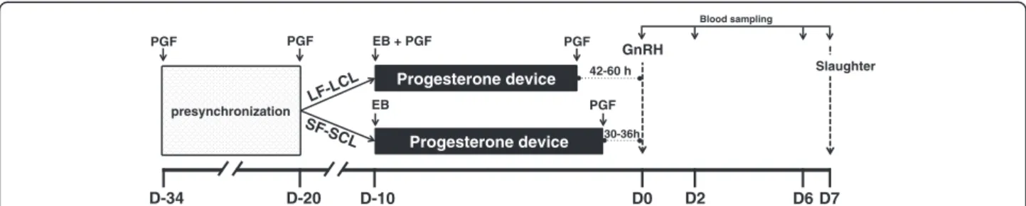 Figure 1 Synchronization protocol. Cows were pre-synchronized via two injections of prostaglandin F2 α (PGF) administered 14 days apart, starting on protocol Day −34 (D–34)