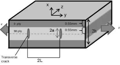 Fig. 3. Transverse crack in [0/90]s laminate 