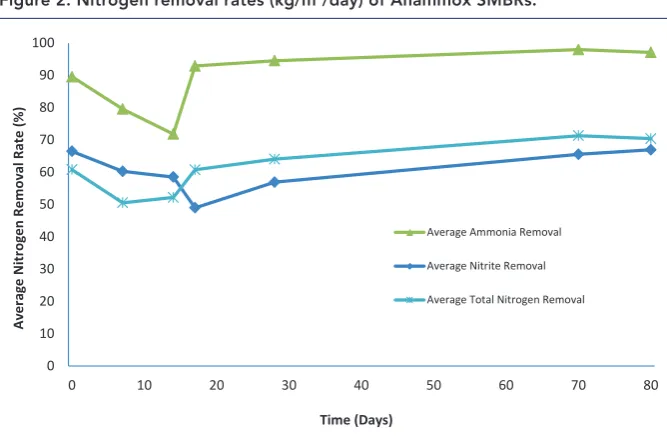 Figure 2. Nitrogen removal rates (kg/m3/day) of Anammox SMBrs.