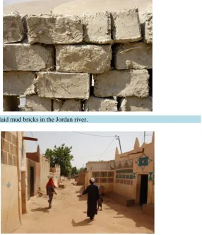 Figure 1. New unlaid mud bricks in the Jordan river.                                      