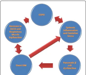 Figure 4 A simplified interrelationship between COPD and DM.