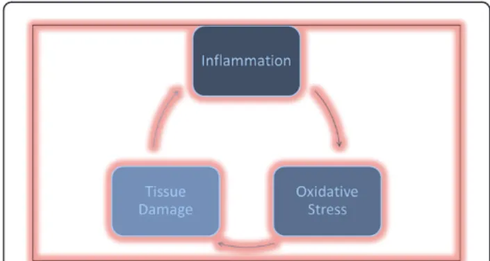 Figure 1 A simplified interrelationship between inflammation and oxidative stress.