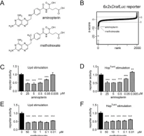 Fig 1. Identification of methotrexate and aminopterin as suppressors of the Drosophilascores of their interactions with a scoreindicating a significant suppression