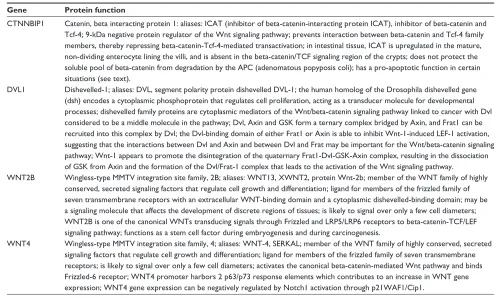 Table 5 Genes associated with the wnt signaling pathway