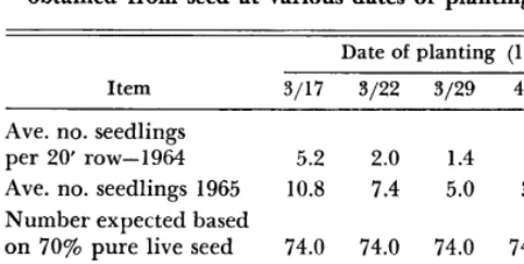 FIG. 1. Stand of eastern gamagrass obtained by spring planting (large sparse plants) as compared to fall seed- ing in Canadian County