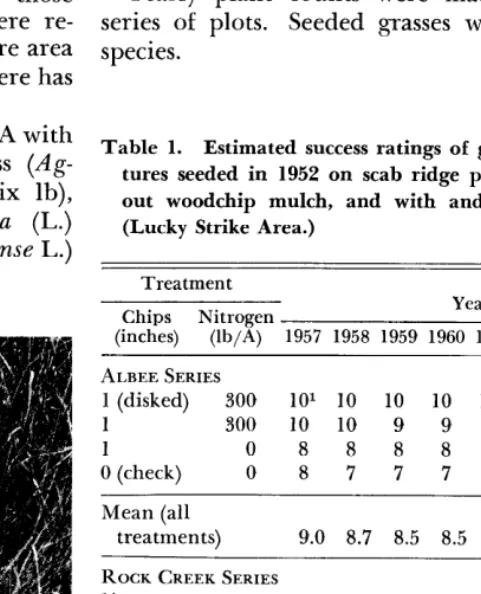 FIG. 1. These woodchips were applied four years previously on these plots at the l-inch rate and not disked