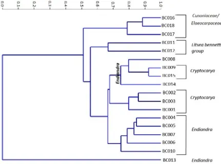 Figure 2.4. Dendogram showing the relationships among morphotypes at Brandy Creek.  The x axis indicates dissimilarity values