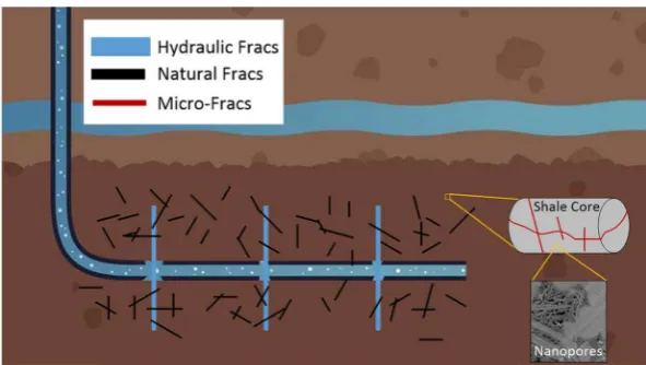 Fig 2 – Multi-scale shale gas storage and transport  