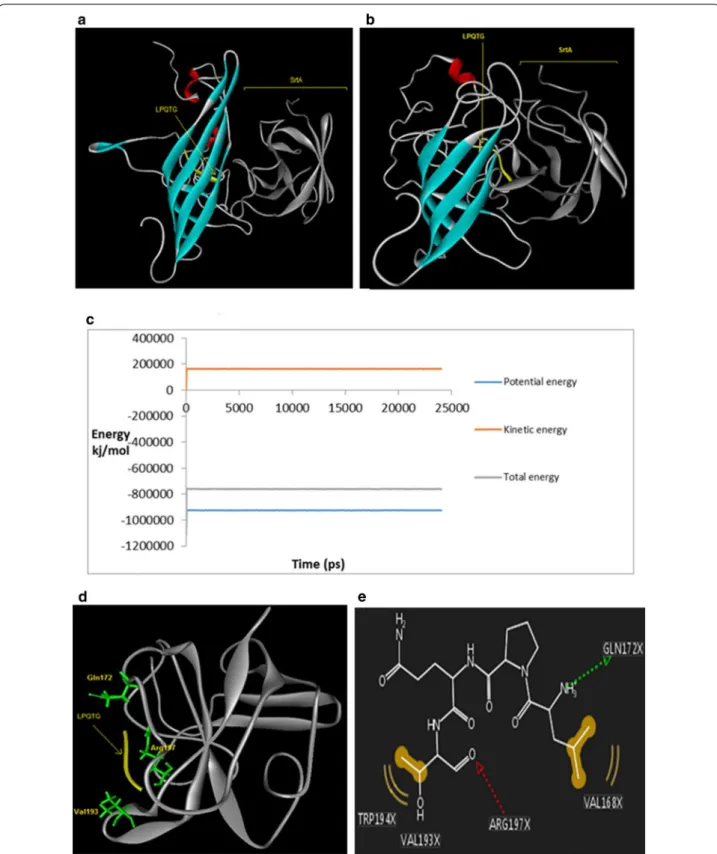 Fig. 3  Molecular docking and molecular dynamic simulations for LO-Mt-Ch complex; a final structure from docking to the srtA, b structure of  complex after relaxation showing LPQTG recognized by srtA