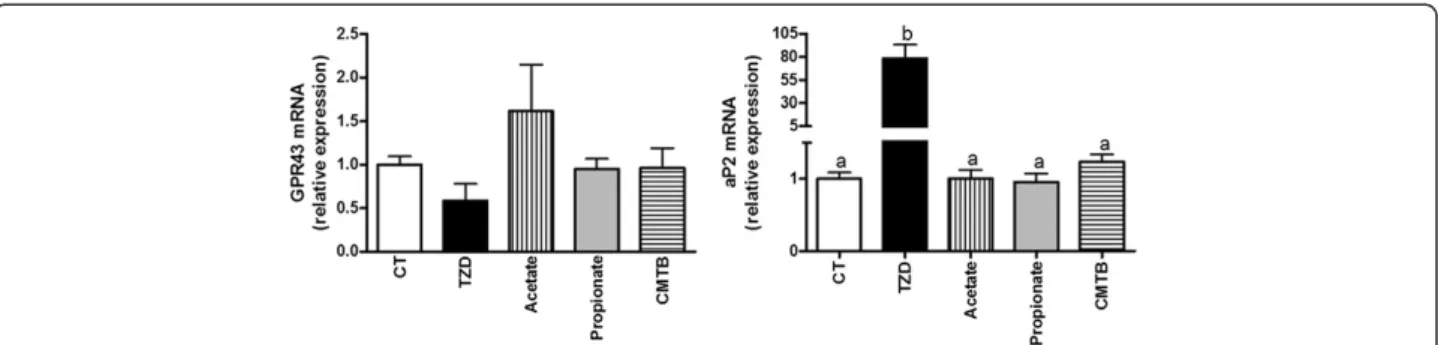 Figure 1 Study of GPR43 involvement in human adipogenesis. GPR43 and aP2 mRNA levels in human preadipocytes, 13 days after induction of differentiation in presence of the vehicle (CT) or different pharmacological agents: troglitazone (TZD), acetate, propio