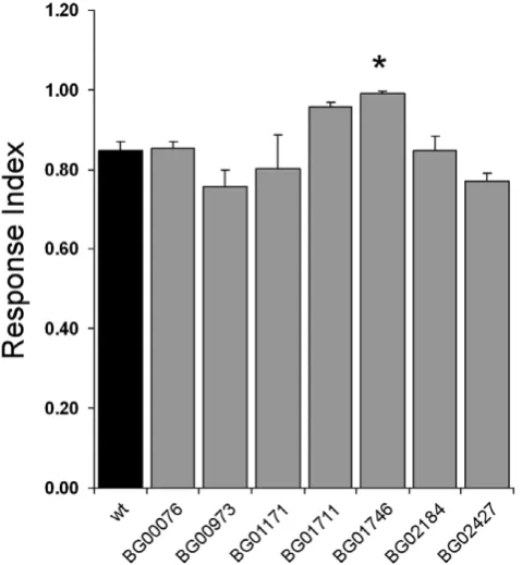 Figure 3. Geotaxis Response Index is normal in pGT lines.Negative geotactic ability was tested to investigate CNS and locomotorerror bars represent SEM; n = 5–19.function of the lines that exhibited abnormal olfactory behaviour