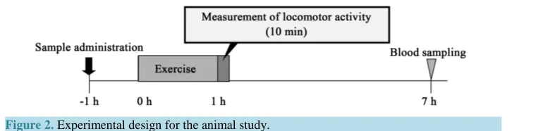 Figure 2. Experimental design for the animal study.                                             