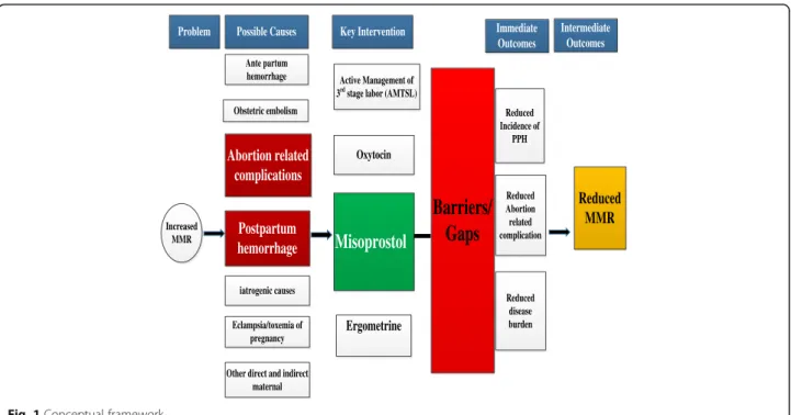 Fig. 1 Conceptual framework