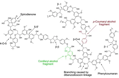 Figure 1-3. Examples of lignin structures, highlighted with key linkages [281] 