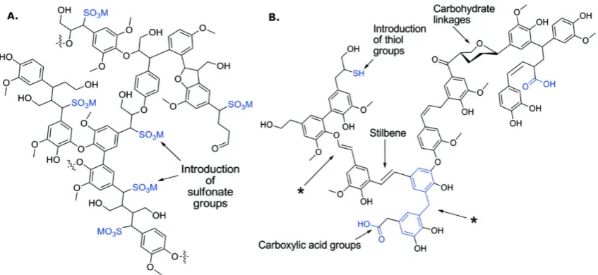 Figure 1-5. (A) An example of sulphonated lignin produced by acid sulphite processing