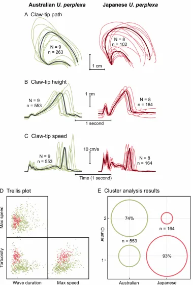 Figure 3.14. Comparison of Australian and Japanese U. perplexa claw-waving displays. A-C) light green and pink lines represent the means for individual crabs and dark lines represent the overall pooled mean