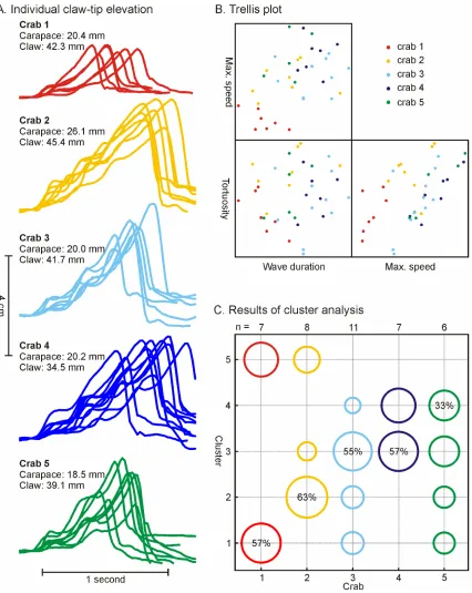 Figure 3.12. Intra- and inter-individual variation in the claw-waving display of duration, maximum vertical speed and vertical tortuosity (see method for details