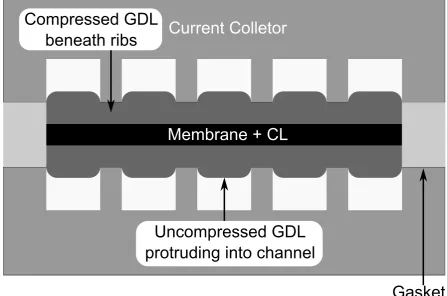 Figure 1: Schematic illustration of PEMFC showing compression of GDL occurs up to the thickness of thegasket.