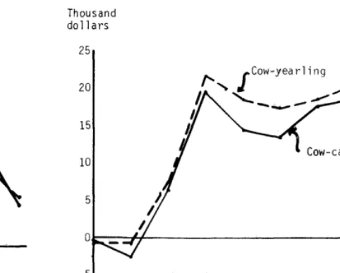 FIG. 6. Net ranch income from cow-calf and cow-yearling systems, option two, 1955-1964