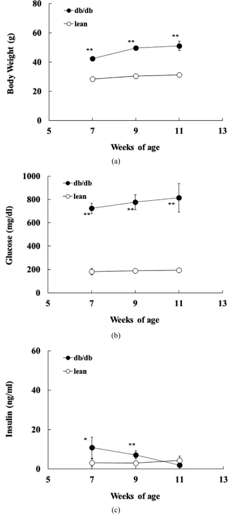 Figure 3. Changes in body weights (a); blood glucose (b) and insulin (c) levels in db/db and the lean mice