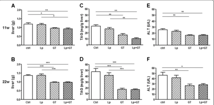 Figure 5 Improved liver phenotype in mice fed a diet supplemented with green tea. Liver weights after 11 (A) and 22 (B) weeks on the different diets