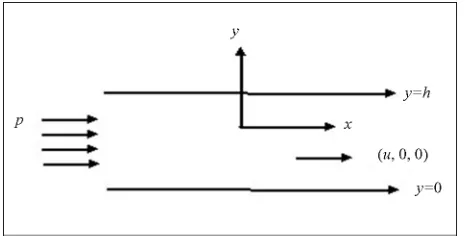 Figure 1. Configuration of the problem. 