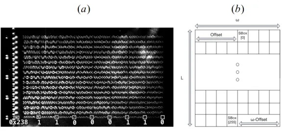 Fig. 1. The SRAM memory in (a) captured with a CCD by the courtesy of [16]. Therow-access transistors appear to the left of the SRAM cells