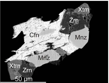 Figure 4 High contrasts BSE image of complex intergrowths of coffinite 