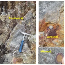 Figure 2. Mineralization zone 